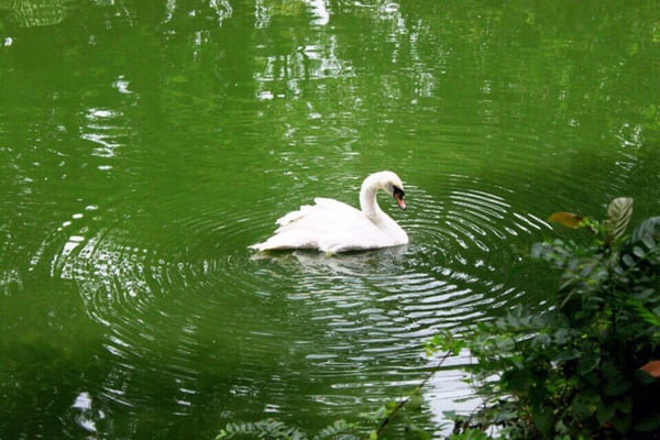 Zoo Taiping & Night Safari by null