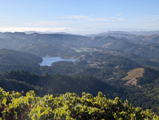 Mount Tamalpais State Park by null