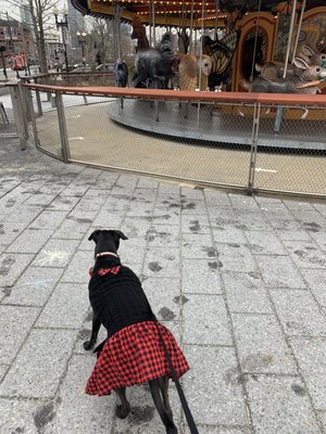 Photo of Greenway Carousel - Boston, MA, US.