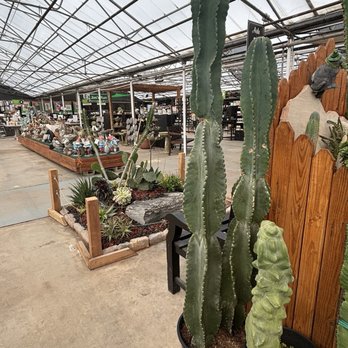 Tagawa Gardens - Incredible cacti and desert plant varieties - Nurseries & Gardening Near Me - Centennial, Colorado