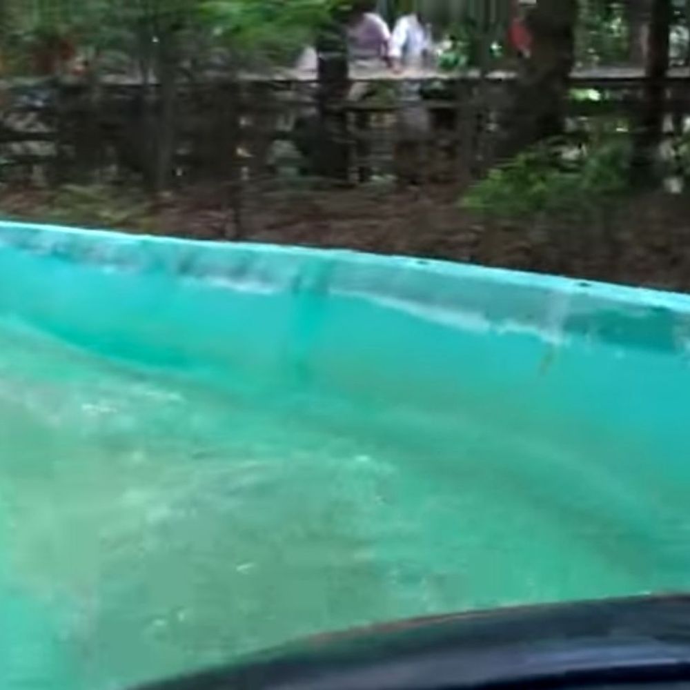 Shenandoah Flume Log - 11/6/19 Thirsty? Drinking this water will take you places. - Amusement Parks Near Me - Doswell, Virginia