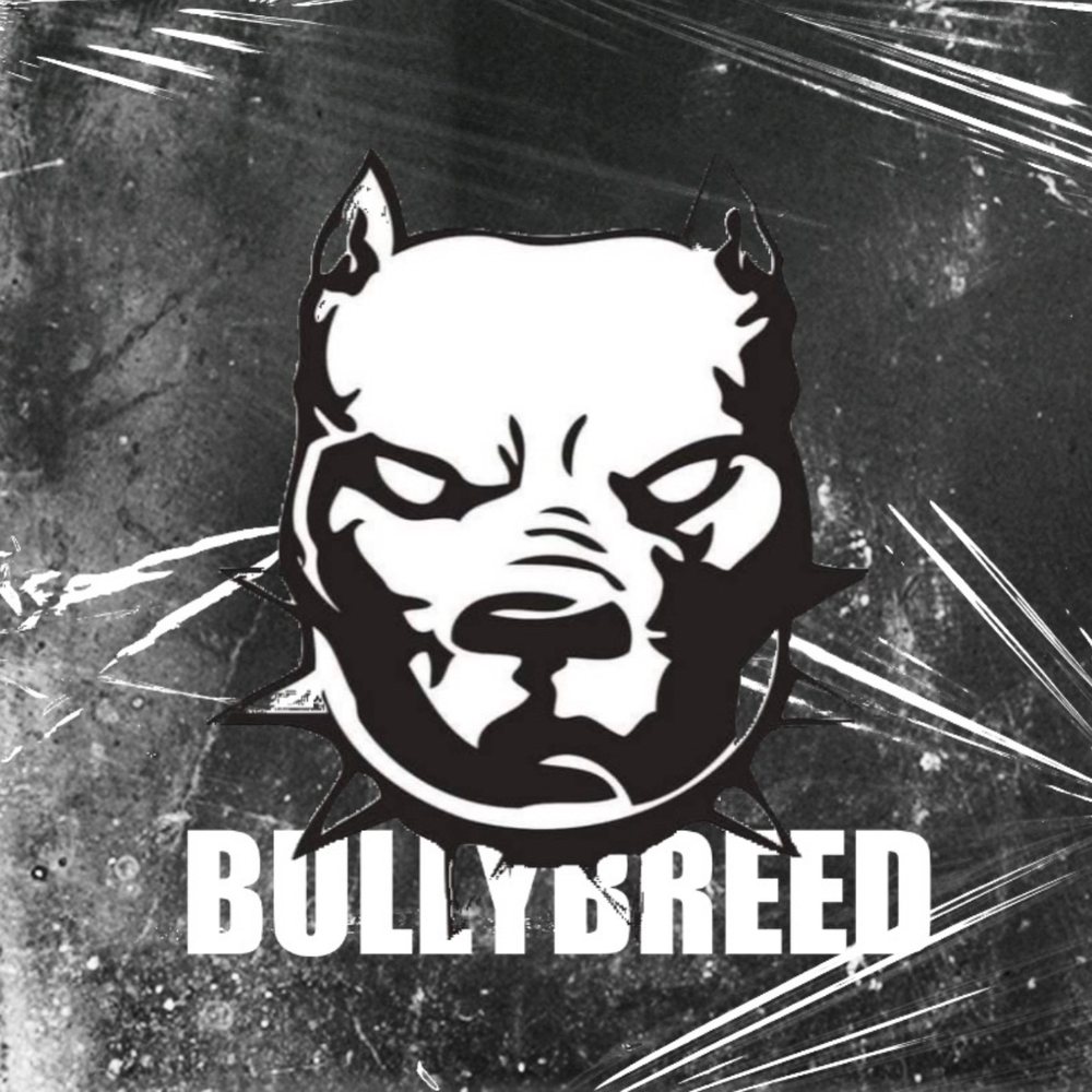 Auto Repair BULLYBREED TRANSMISSION’S Request a Quote 8330 E