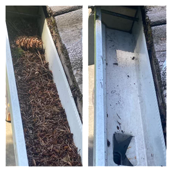 Clean Pro Moss - Roofing Near Me - Ruston, Washington