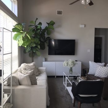 Ben White Florist - Love our Fiddle Leaf Fig Tree from Ben White Florists! - Florists Near Me - Austin, Texas