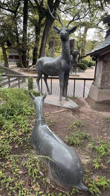 Dazaifu-tenmangu Shrine by null