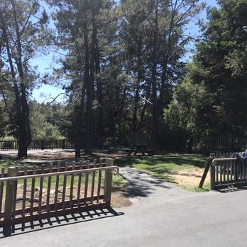 Six Flags Discovery Kingdom - Dog area. ‍ - Amusement Parks Near Me - Vallejo, California