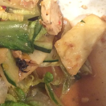 Panera Bread - Fly in salad... disgusting - Sandwiches Near Me - Ranson, West Virginia