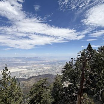 Peaks Restaurant - View - New American Near Me - Palm Springs, California