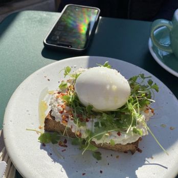 Stonefruit Espresso + Kitchen - Gluten Free White Fish sandwich - Cafes Near Me - Brooklyn, New York