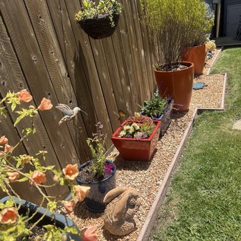 SF Gardening Services - Gardeners Near Me - San Francisco, California