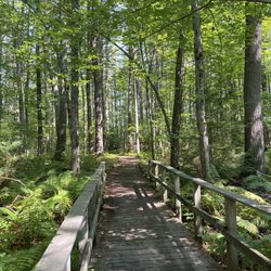 Rachel Carson National Wildlife Refuge - Walkway