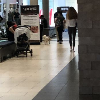 Natick Mall - Dog in a non pet friendly mall - Shopping Centers Near Me - Natick, Massachusetts Natick Mall - Dog in a non pet friendly mall - Shopping Centers Near Me - Natick, Massachusetts