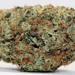 Cal Meds - Og Kush