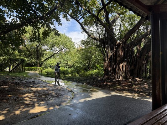 Daan Forest Park by null