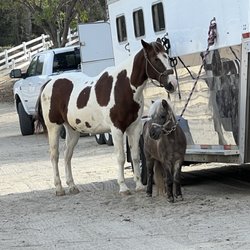 Philip S. Paxton Equestrian Center