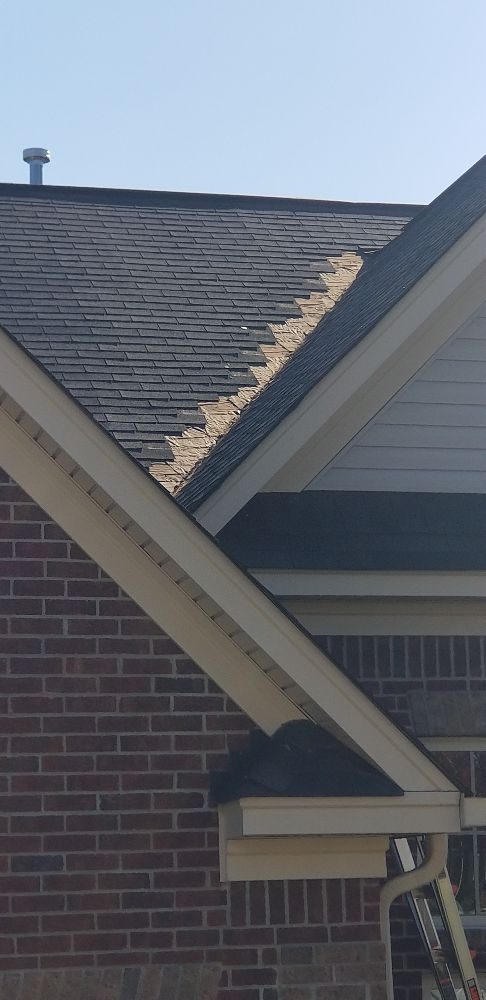 Slide of New Prospective