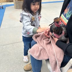 Christ the King Lutheran Preschool