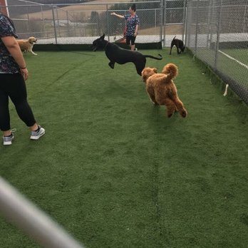 Tail Country Pet Resort - Pet Training Near Me - Dallastown, Pennsylvania Tail Country Pet Resort - Pet Training Near Me - Dallastown, Pennsylvania