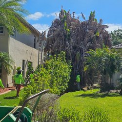 Divine Design Tree Management
