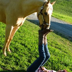 Makayla Milliken Horse Training - Training