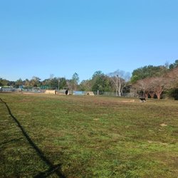 Optimist Dog Park - Wide open dog park