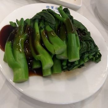 Ocean Palace - Chinese broccoli with oyster sauce - Dim Sum Near Me - Houston, Texas