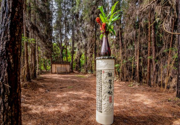 Volcano Artist Cottage by null