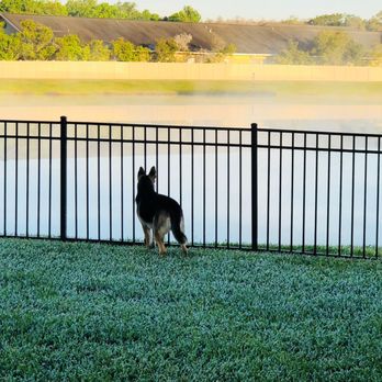 POOP 911 - The back yard. - Pet Waste Removal Near Me POOP 911 - The back yard. - Pet Waste Removal Near Me