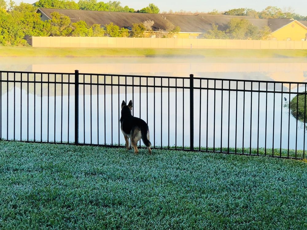 POOP 911 TAMPA BAY Updated September 2024 12 Photos Tampa