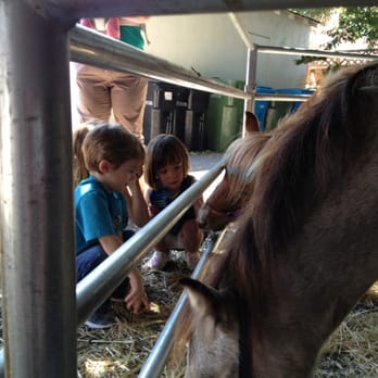 Nova Chiropractic - School fundraiser at Nova -- a petting zoo! - Chiropractors Near Me - Santa Clara, California Nova Chiropractic - School fundraiser at Nova -- a petting zoo! - Chiropractors Near Me - Santa Clara, California