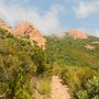 Photo of Massif de l'Estérel