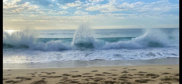 Posada Real Los Cabos by null
