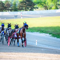 Eldorado Gaming Scioto Downs - A Caesars Rewards Destination - Horseman and Racing Image