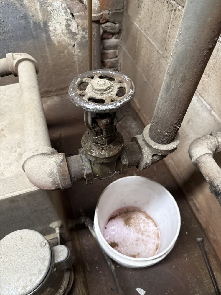 Slide of Michael Maintenance