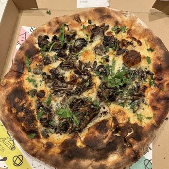 Pitfire Pizza - Field Mushroom Pizza Who would like the bottom, burnt dough half of this pizza? - Pizza Near Me - Culver City, California Pitfire Pizza - Field Mushroom Pizza Who would like the bottom, burnt dough half of this pizza? - Pizza Near Me - Culver City, California