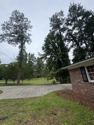 Gleaton Tree And Clearing on Yelp