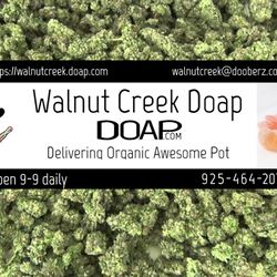 Doap Walnut Creek