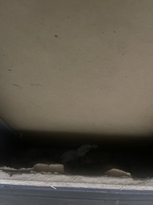 APPLE CINEMAS - Updated August 2024 - 50 Photos & 170 Reviews - 168