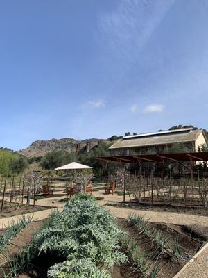 Regusci Winery by null