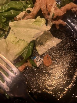 MM by Morimoto by null