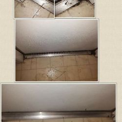 The Cleaning Bee - The Cleaning Bee: Before/After photos