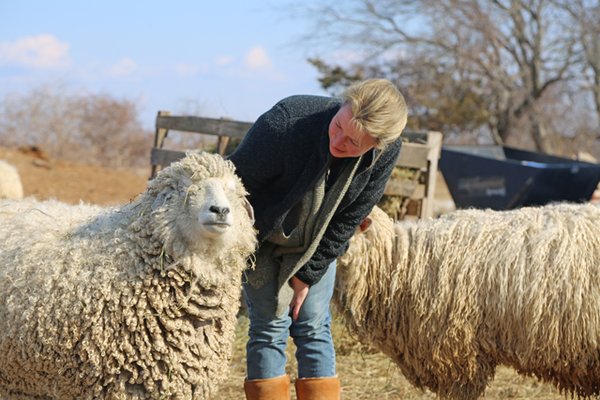 Browder’s Birds by null