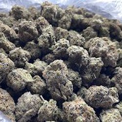 Laguna Wellness Dispensary - Purples, yellow, and Green
