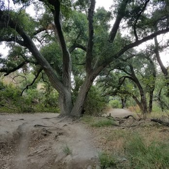 Whiting Ranch Wilderness Park - Parks Near Me - Foothill Ranch, California Whiting Ranch Wilderness Park - Parks Near Me - Foothill Ranch, California