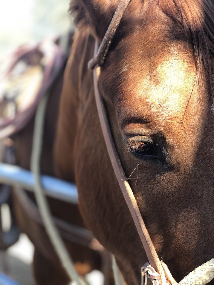 BROADACRES MARKETPLACE 515 Photos & 181 Reviews 2930 N Las Vegas