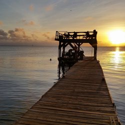 Sin City Scuba - Utila