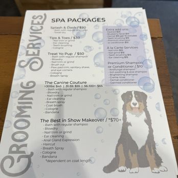 Barkhaven - Dog Parks Near Me - Orlando, Florida