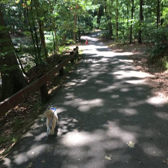 Lubber Run Park and Amphitheater - Parks Near Me - Arlington, Virginia Lubber Run Park and Amphitheater - Parks Near Me - Arlington, Virginia