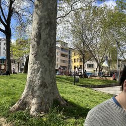 Tophane Parkı
