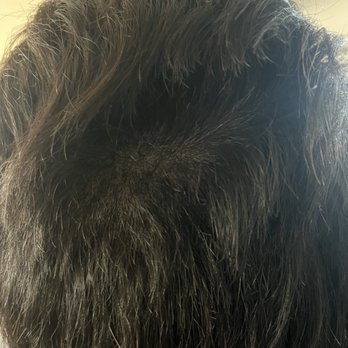 Moxie Salon - Hair Stylists Near Me - West Sacramento, California Moxie Salon - Hair Stylists Near Me - West Sacramento, California
